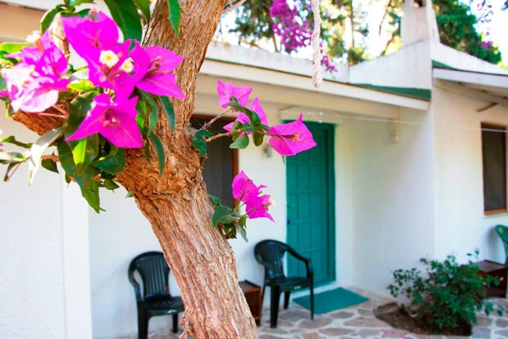 Myndos Bed & Breakfast Bodrum Bagian luar foto
