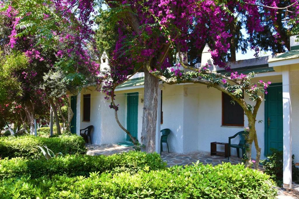 Myndos Bed & Breakfast Bodrum Bagian luar foto